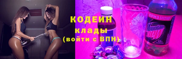 прущие грибы Богородск