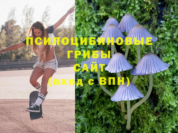 MESCALINE Богородицк