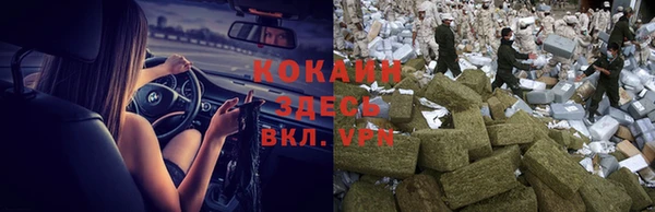 прущие грибы Богородск