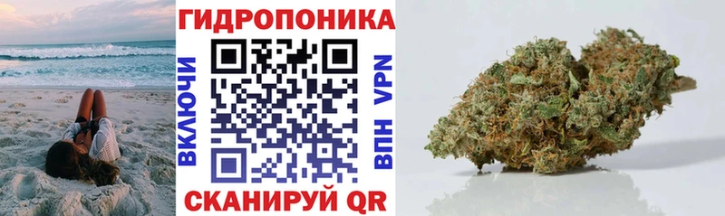 Марихуана индика  нарко площадка как зайти  Кольчугино 